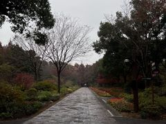 -上海滨江森林公园