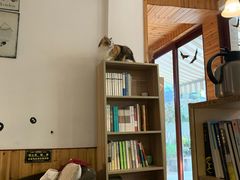 -隅cafe(傅厚岗店)