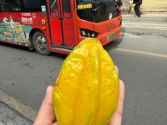 -长洲岛