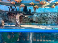 -横店影视城梦幻谷园区