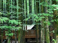 -山王坪喀斯特国家生态公园