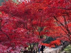 -岳麓山风景名胜区