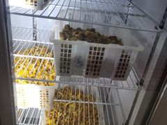 -双喜农庄·菌香园(安居家园店)