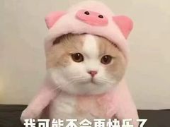 -麦当劳(望京国际商业中心店)