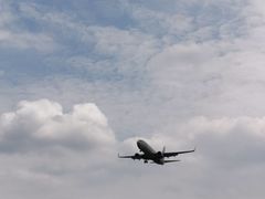 -空港花田景区