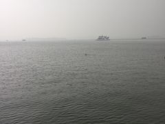 -西湖游船