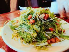 凉拌苦菊-馋嘴蛙火锅