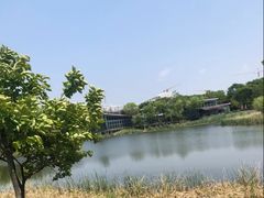 -贡湖湾湿地公园