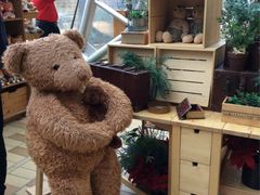 -济州岛泰迪熊博物馆