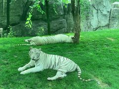 -北京野生动物园