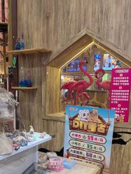 -卡通尼·Safari非洲探索乐园·生日会(金桥国际商业广场店)