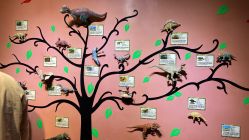 -酷嗒动物文化乐园(cutezoo西溪乐天城店)