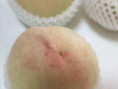 -南汇新场正宗水蜜桃采摘