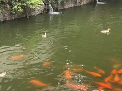 -浙江省博物馆(孤山馆区)
