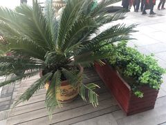 -香港美食大酒楼