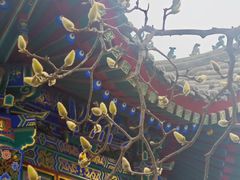 -西安化觉巷清真大寺