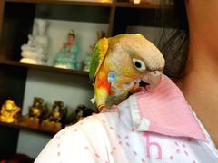 -成都华侨城欢乐里