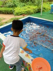 点击看大图 -萌宠亲子动物乐园(槐房万达店)