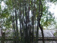 -成都杜甫草堂博物馆