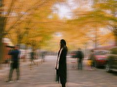 -三里屯东五街银杏大道