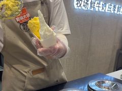 -野人先生现做冰淇淋(西安赛格店)