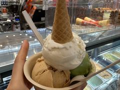 -极拉图·现制冰淇淋(大卫城店)