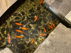 -邈墨茶馆(凤起路店)