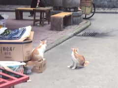 -无牌咖啡&酒馆
