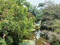 -中国科学院西双版纳热带植物园