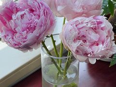 -靳晖金百合花艺GOLDENLILY(南院门店)