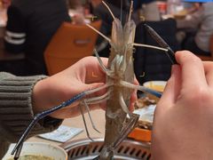 -海底捞大排档火锅(打浦路店)