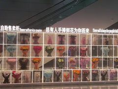 -广州白云国际机场-T2航站楼