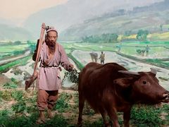 -中国农业博物馆
