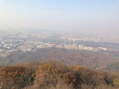 -紫金山山顶公园