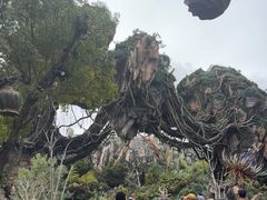 -奥兰多迪士尼动物王国乐园