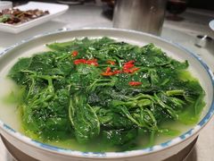 上汤桑叶-优之名鹅城