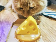 -星巴克臻选(济南万达店)