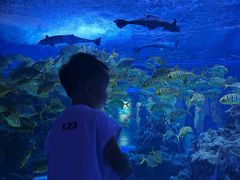 -海合安成都极地海洋公园