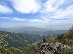 -王顺山国家森林公园