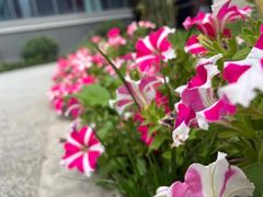 -成都市第一人民医院(南区)