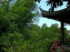 -四海公园(南山区)