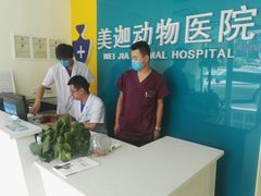 -美迦爱-牙专科·兔科·骨科诊疗中心(北苑店)