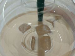 -天使咖啡(兴新街店)