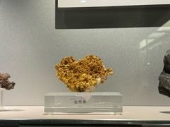 -中国地质博物馆