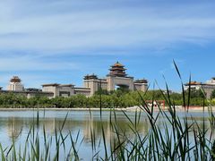 -莲花池公园