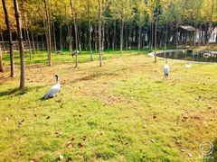 -艾溪湖湿地公园