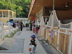 -名驭国际马术学院