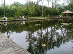 -溱湖国家湿地公园