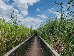 -下渚湖国家湿地公园科普馆