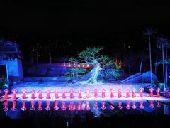 -三亚红色娘子军演艺公园景区